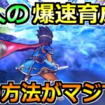 【ドラクエウォーク】魔人の効率的なレベル上げ方法！この方法でグングンレベル上がりますｗ