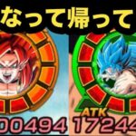 極限前最後に7周年コンビ使ってみた！【ドッカンバトル】【Dragon Ball Z Dokkan Battle】