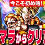 【ドッカンバトル】開幕90連!激アツ10周年後半リセマラガチャ!クリアまでRTA 2日目 LIVE 【ドラゴンボールZ ドカバト】