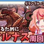 【グラブル】６竜称号欲しいからちょっとだけウィルナスHL周回するぞ！！！【グランブルーファンタジー】