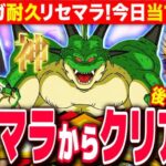 【ドッカンバトル】神ポルンガリセマラ ガチャ耐久!クリアまでRTA 3日目 LIVE 【ドラゴンボールZ ドカバト】