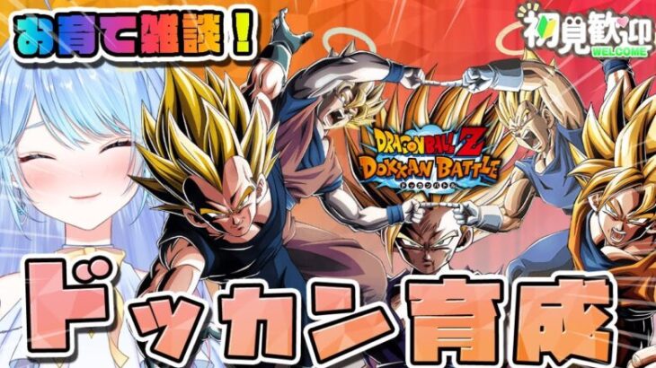 【ドラゴンボールZ ドッカンバトル】お迎えメンバー育成 初見歓迎! ⚠情緒注意 DBZ #ドラゴンボール