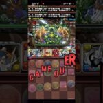 回復に殺された【パズドラ】