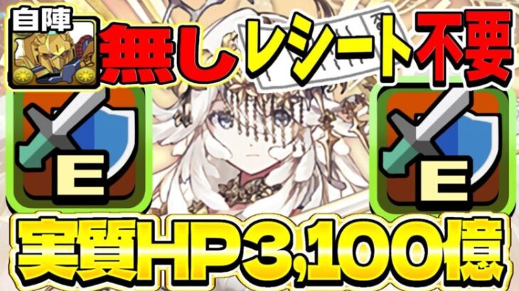 【誰でも勝てる】パズル力＆百式不要の天才編成が最強すぎた新極悪【パズドラ】