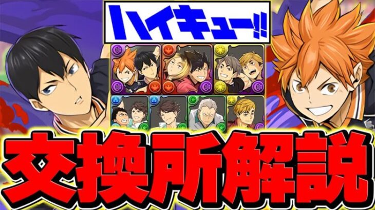 ハイキューコラボ交換所解説！SSランクキャラを絶対に逃すな！知らないと損！！【パズドラ】