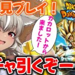 【ドラゴンボールZ ドッカンバトル】今日から始めるドッカンバトル！ベジットに惚れて始めました！初心者です！ベジット、ほかのかっこいいキャラ目指してガチャ！【 灰音シャル/個人勢 】