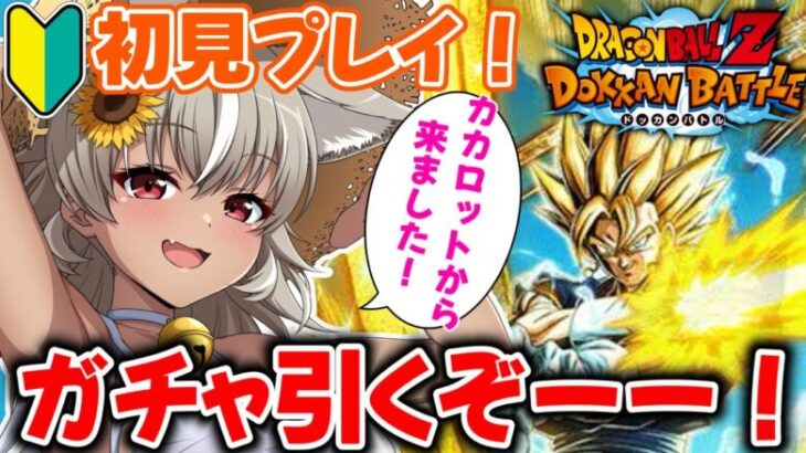 【ドラゴンボールZ ドッカンバトル】今日から始めるドッカンバトル！ベジットに惚れて始めました！初心者です！ベジット、ほかのかっこいいキャラ目指してガチャ！【 灰音シャル/個人勢 】