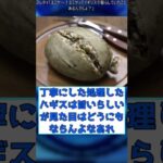 【FGO】「エミヤ〜！エミヤってイギリスで暮らしていたことあるんでしょ？」に対するマスター達の反応集【fate】