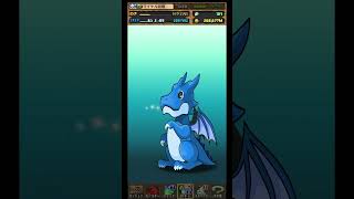 【パズドラ】デイトナかシーウルフ出るまで毎日動画視聴ガチャ1155日目！2025/5/3 #パズドラ #shortsfeed