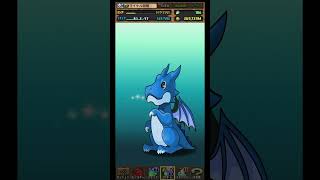 【パズドラ】デイトナかシーウルフ出るまで毎日動画視聴ガチャ1156日目！2025/5/6 #パズドラ #shorts