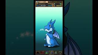 【パズドラ】デイトナかシーウルフ出るまで毎日動画視聴ガチャ1161日目！2025/5/11 #パズドラ #shorts