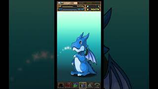 【パズドラ】デイトナかシーウルフ出るまで毎日動画視聴ガチャ1162日目！2025/5/12 #パズドラ #shorts