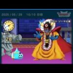 ドラクエウォーク  ゆうべはおたのしみでしたね  26周目(1日目〜10日目)