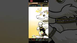 パズドラ　神器龍フェス　5連