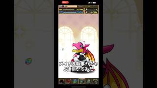 【#パズドラ】メイド&執事ガチャ5連引いてみた