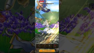 ドラクエウォーク　レベル75ドルマ地図のレベリング戦闘です。