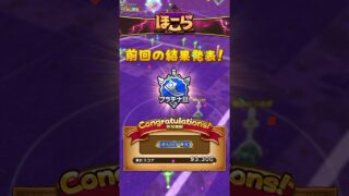 DQW今日のできごと-14日目- #ドラクエウォーク