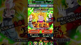 LR Tag Kale/Caulifla Ticket Summons