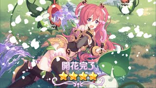【プリコネR】クウカ 星4 開花演出