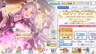 【プリコネR】ルイズマリー