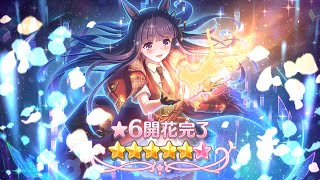 【プリコネR】☆6カスミ解放クエスト　Lv148フルオート攻略