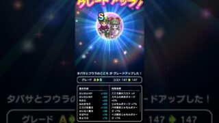 【ドラクエウォーク】タバサとフウラのこころS!!!