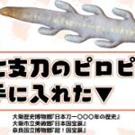 【#ぼたらじ 】七支刀のピロピロを手に入れた▼関西の国宝展ラッシュと日本刀が楽しい！【ぼたまる雪 Vtuber】