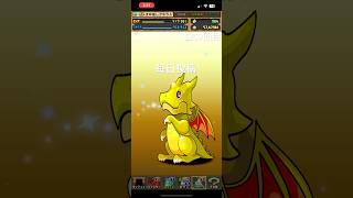 ガチャpart1259【2025/3/15】#パズドラ #毎日投稿