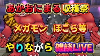 [ドラクエウォーク]あかおにまる大量！メガモンやほこらを狩り尽くせ！雑談・質問枠！初見さんも新規さんもお気軽に雑談 質問何でも