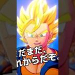 【ドッカンバトル】 超ベジット 演出予想