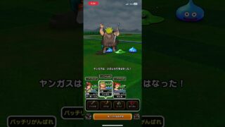 #ドラクエウォーク 🐉スカイドラゴン🐉🐲仲間になる🤪🐲🤗