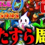 『パズドラゼロ』で最強パーティーを求めて！ #パズドラ0 #パズドラゼロ