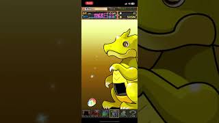 【1163日目】毎日単発ガチャ【パズル&ドラゴンズ】