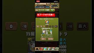 【平凡パズドラ】13周年たまドラGET‼︎