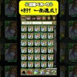 【㊗️花嫁ベオーク一面達成】全ヘラシリーズも1面予定！？#パズドラ#shorts #ジュンブラ