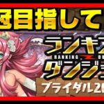 🔴【初見チャレンジ】ランダンブライダル2025杯‼️王冠目指して #パズドラ