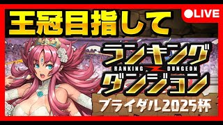 🔴【初見チャレンジ】ランダンブライダル2025杯‼️王冠目指して #パズドラ