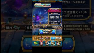 ドラゴンクエストウォーク☆5ぶき1枠確定特別おたから装備ふくびき引いてみた