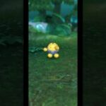 【チャットスタンプ】モコフルがドラクエタクトに遭遇するとどうなるかダメージ検証　BGMあり　ドラクエタクト[DQタクト]　チャンネル登録と高評価宜しくなの　ドラゴンクエストⅤリニューアル版