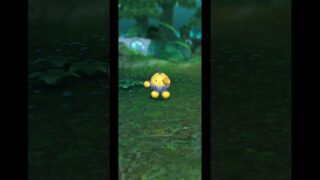 【チャットスタンプ】モコフルがドラクエタクトに遭遇するとどうなるかダメージ検証　BGMあり　ドラクエタクト[DQタクト]　チャンネル登録と高評価宜しくなの　ドラゴンクエストⅤリニューアル版
