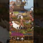 FREE EQUIP Merah Lv 30 – 40 exp 27k Hunting Exp Land Of Blessing #Lineage2m Na/Global
