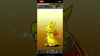 ガチャpart1290【2025/4/14】#パズドラ #毎日投稿