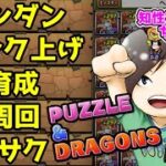 【#縦型配信】日課消化！未クリアダンジョンか、ランダン！！【#パズドラ】