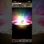 絶望から希望に変わる瞬間【パズドラ】