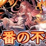 こっそり実は不安に思っているやつ【グラブル】