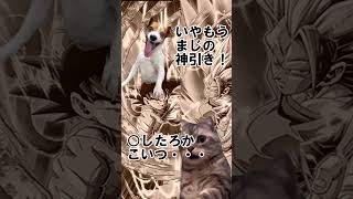 【雑動画です】未だ納得していないこと２本目 #ドッカン #ドッカンバトル #ドラゴンボール #猫ミーム
