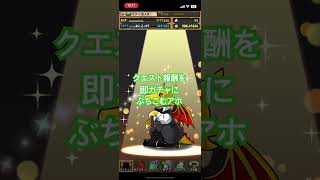 クエスト報酬即ガチャにぶちこむアホ #パズドラ #ガチャ動画