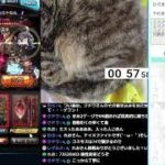 ＃グラブル　コスモス放置狩り 予約０か０時まで　予約コメ「スパバハ予約」で予約　スパバハ放置　ルシゼロソロおすそ分け２戦　ライブ：１１００　６月１０日　火曜日