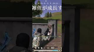 荒野行動雑魚が成長する1日目 30日後には、、#おすすめにのりたい #人気になりたい #荒野行動 #キル
