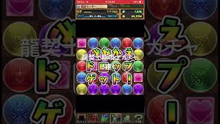 パズドラ　龍契士龍喚士ガチャ5連！